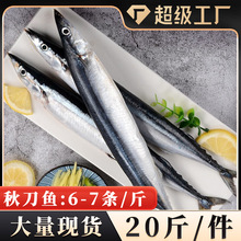 20斤秋刀鱼6-7条/斤新鲜冷冻商用烧烤食材海鲜水产餐饮商用批发