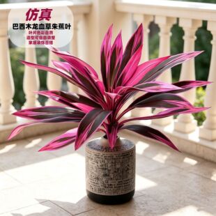 �S��ֱ�N����ֲ��������Ѫ��٘��쾰�Gֲ�����҃Ȕ[������쾰