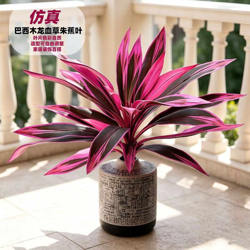 Direct sales from the manufacturer: artificial plants, faux dragon blood trees, fake trees for landscaping, green plants, potted plants, indoor decorations, and event landscaping