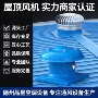 屋顶排烟低噪音换气风机