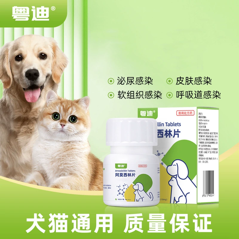 Таблетки Amorolfine для ветеринарных собак, кошек, домашних животных, цыплят, уток и гусей, дыхания мочевой кожи, антибактериальные ветеринарные лекарства, подлинная