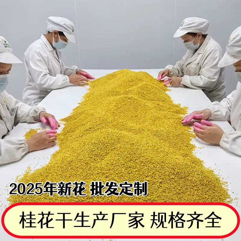 2025新桂花干花正宗桂林金桂花可食用桂花茶泡水花茶叶泡茶可定制