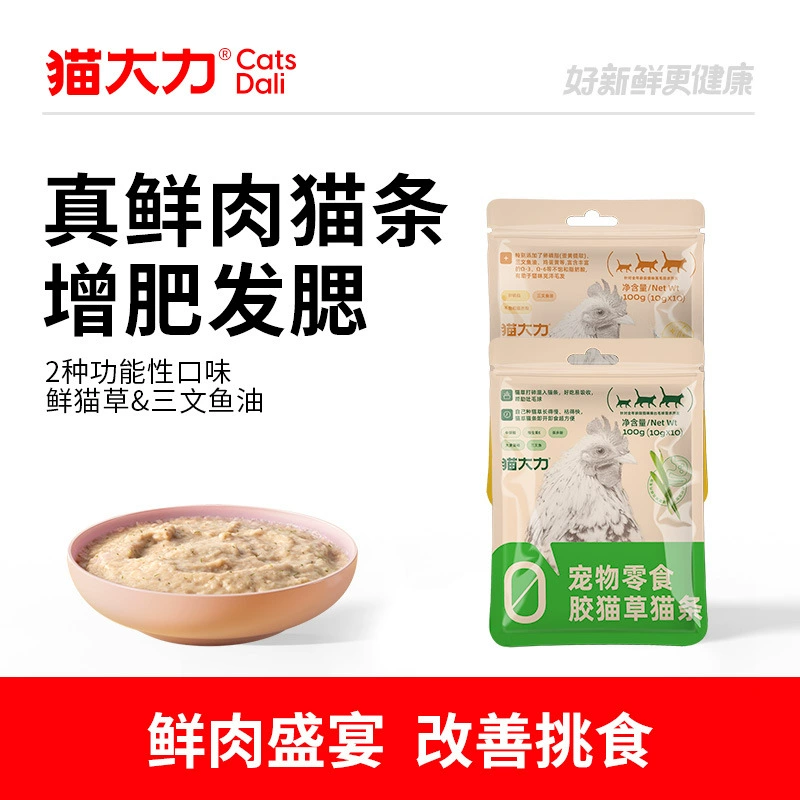 Кошка энергично кошачья закуска кошачья трава красивая кошка