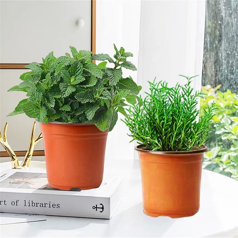 [식용조합] 민트 + 로즈마리(간이냄비) + 영양액 2