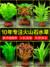 ��ɽʯˮ������ˮ�ܑ���ˮ��ֲ���~��ˮ���쾰��ɰ�ײ�������