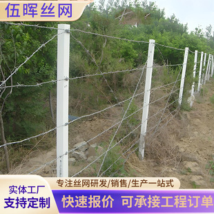 Barbed Wire Fence Anti-Climb Anti-Theft Spiked Wire Fence Double-Strand Encrypted Barbed Wire Fence