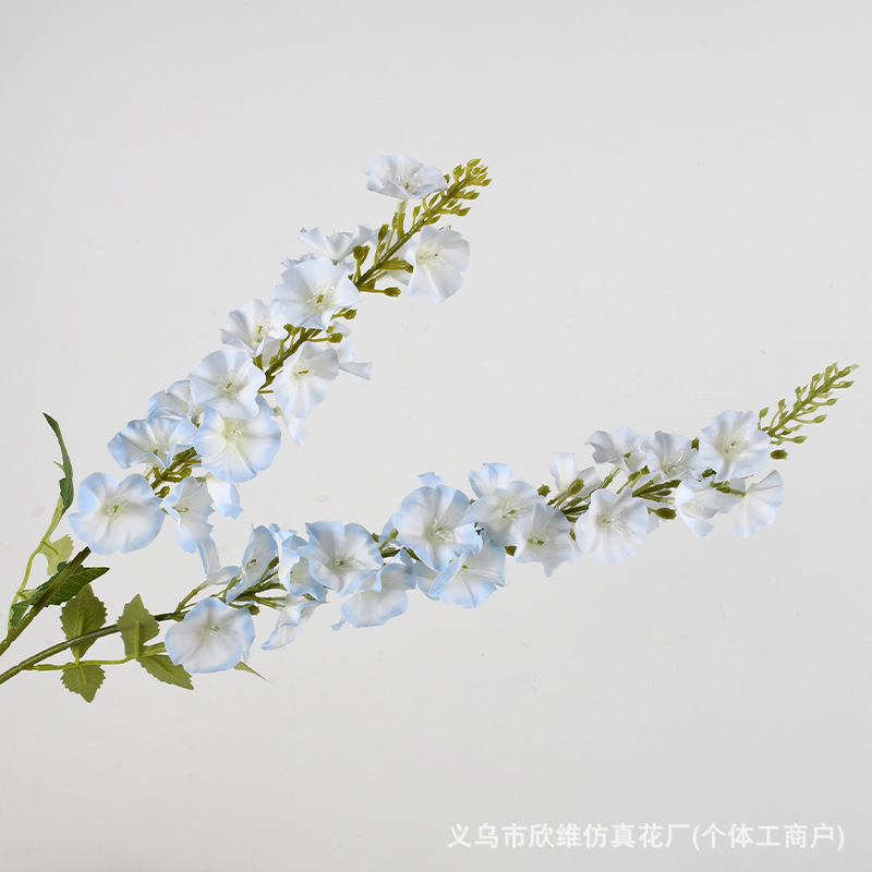 2 nĩa Qianxun màu xanh nhạt
