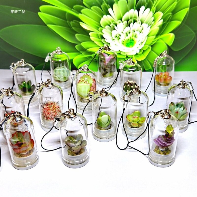 Succulent Green Plant Hanging Decoration Gift Micro Landscape Succulent Glass Bottle Mini Flower Room Mini Survival Keychain Finished Product
