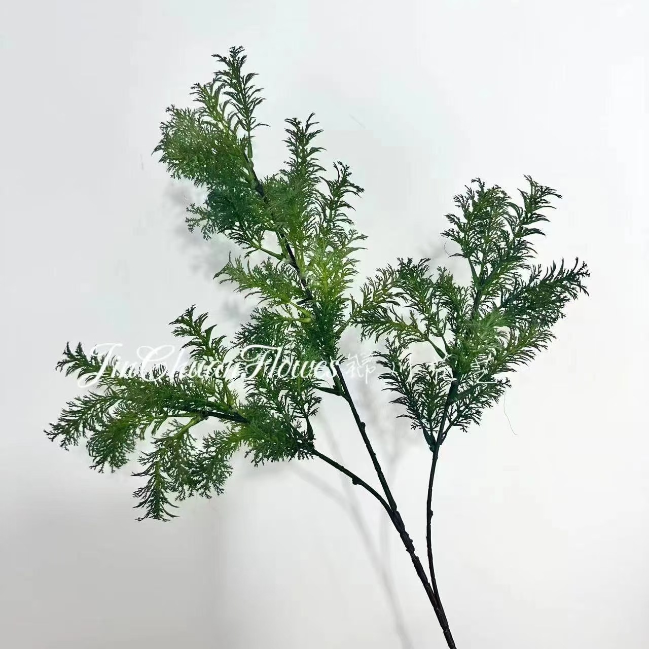 봉래송 짙은 녹색