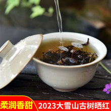 ѩɽŘttPctŘt500gζM