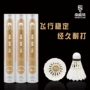 南极风俱乐部比赛稳定球
