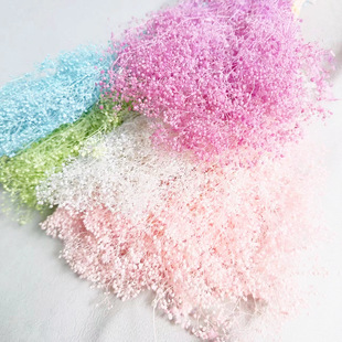 �羳������ϼ�ݰ��f����ϏS�����l��ɫС�M����diy�ɻ���޹����