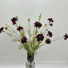 �߷������x��݆����{�軨݆��ռٻ����� ��Y�Ҿ� ���������仨