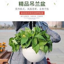 �����������軨������ʽ�������������������ר��������