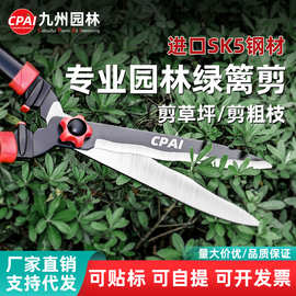 园艺大剪刀绿篱剪粗枝修剪强力修枝剪园林专用伸缩手柄