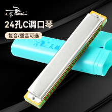 跨境天鹅口琴初学者学生24孔入门复音成人专业重音C调口风琴乐器