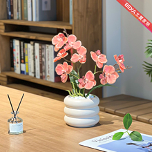 ?ins�����m���Ի��ָмٻ����滨���辰�Gֲ�͏d�����b[