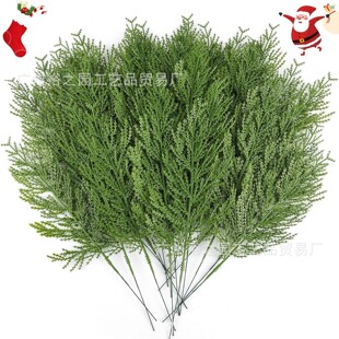 �羳����Gɫ�ɰ�֦- ��� DIY ���h���h�}�Q���bͼҾӻ��@�b