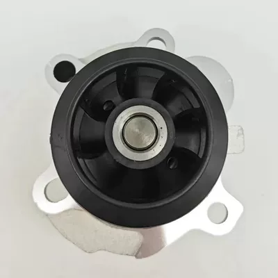 automotive water pumps – Water pump
