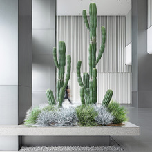 ����ֲ���쾰����JȔ�ɲݼپGֲ�辰���[�ݿ��g�����b�