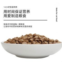 Custom private label baking grain cat food manufacturer wholesale for kittens, suitable for adult cats, OEM/ODM service