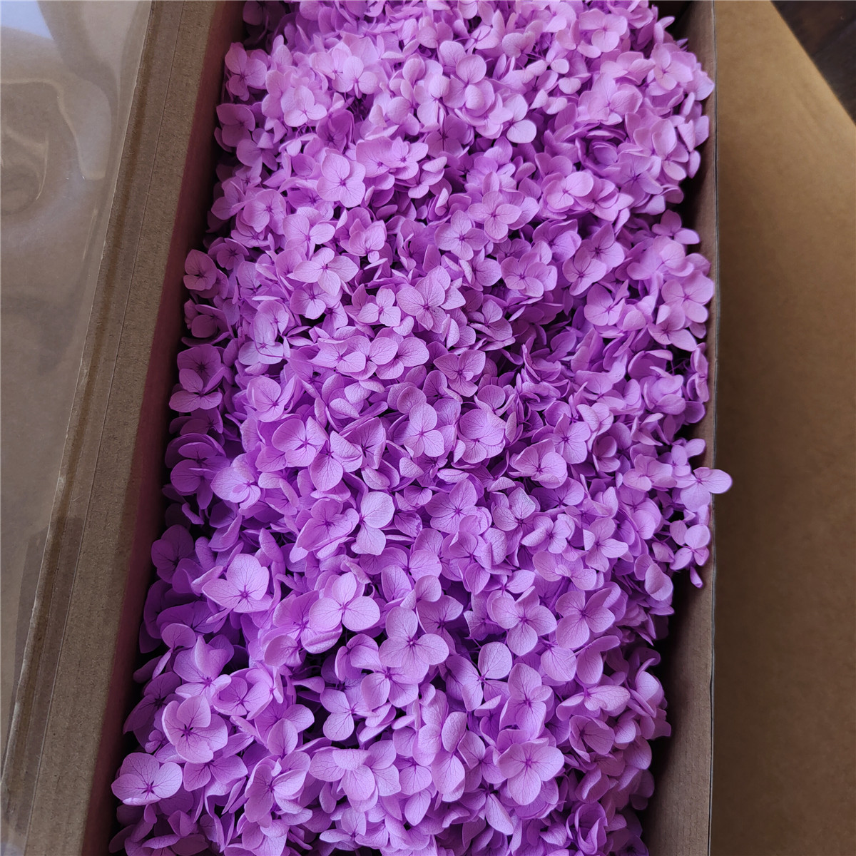 Flor eterna Hortensia Anna pequeña hoja flor seca flor real árbol de Navidad ventilador hecho a mano ramo DIY material paquete flor