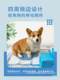 Disposable Absorbent Dog Urine Pad Deodorant Large Toilet Thickened Diapers Pet Supplies Training Diapers