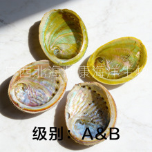 ���������̱���Ǻڽ𱫰ױ���β��ȼ�տ���޹����ʥľ֧�ܰڼ�