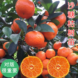 �޽�ɰ���������������ۘ����Ե��ԟo�����ٹ�����箔��Y��