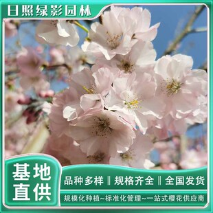 6���֪��ѻ����r  ���ѻ��������� �ѻ��@��ֱ��