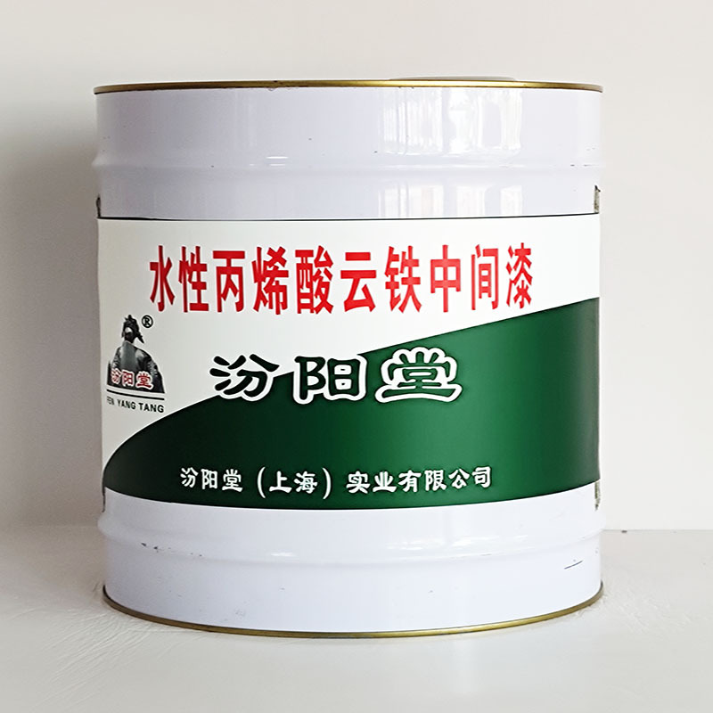 水性丙烯酸云铁中间漆、价格实惠、水性丙烯酸云铁中间漆、包运输