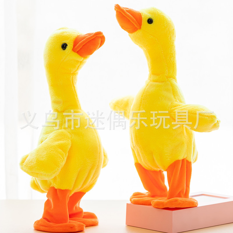 O1CN01digPec1olPwHaQ3RN_!!2209