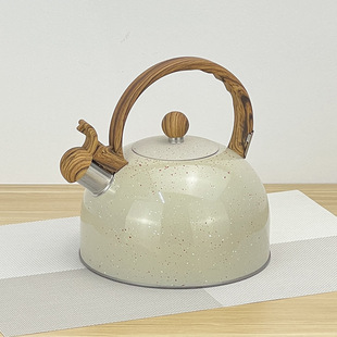 Customized Stainless Steel Water Kettle Hemispherical Sight Water Kettle Colorful Fixed Handle with Magnetic Flats Water Kettle Kettle
