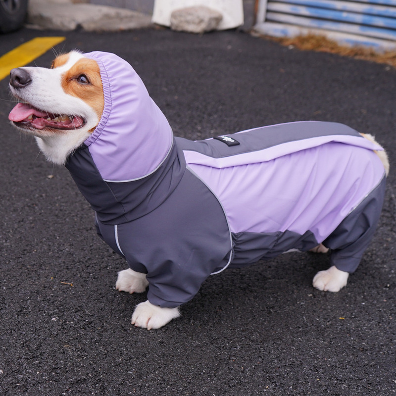 Chongtapet Dog Raincoat All-Inclusive Hooded Reflective Corgi Medium Dog Waterproof Raincoat Pet Raincoat Short Sleeves