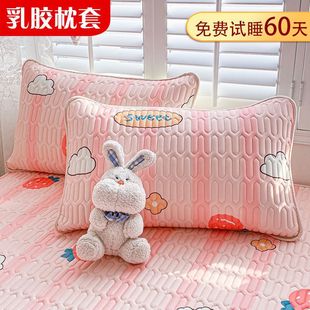 Ice Silk Pillowcase Single Adult Pair Large Single Student Dormitory Thickeneded Latex Pillow Leather Pillow Core Cover Summer