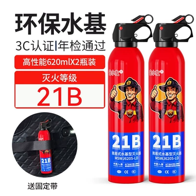 Annual Fire Inspection, Vehicle fire extinguisher - 21b-an-xiaoyou-fire-extinguisher-620ml-two-pack-fixing-strap