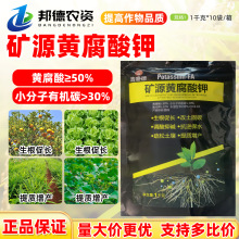 ��� �VԴ�S��������������{����|���|��Ч�������a�~���