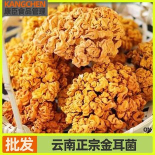 ��Ͻ������؛�o�������ľ�S���Ŵ���X����Ǿ������ܛŴ�㻬