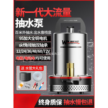 ԭװ���ڲ���ֱ��Ǳˮ�ü���С��12V24V48V60V��ƿ�綯��ˮ��ũ��