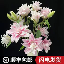 收纳盒;收纳箱;厨房置物架