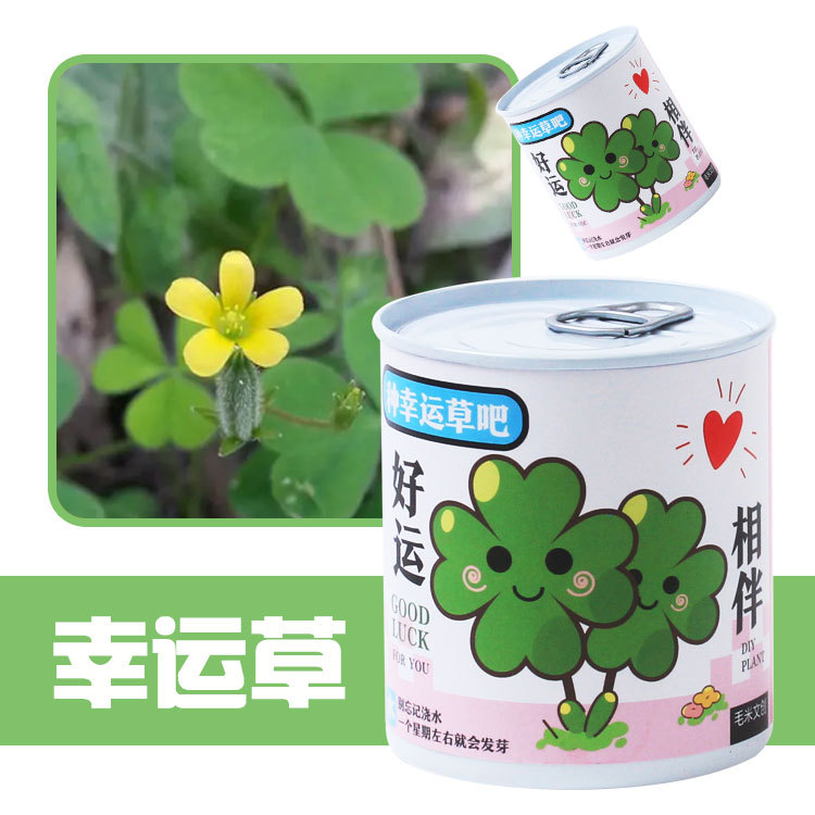 Los niños plantan pequeñas macetas de estrellas de sol, plantas de fresa, verduras, estudiantes de observación de plantas verdes, mini caja de semillas image 12