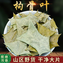 ҰɽҰ�۹��~�۹Ǵ���Ǵ��۹ǲ蹷�Ǵ��~����؈�������Ǵ���