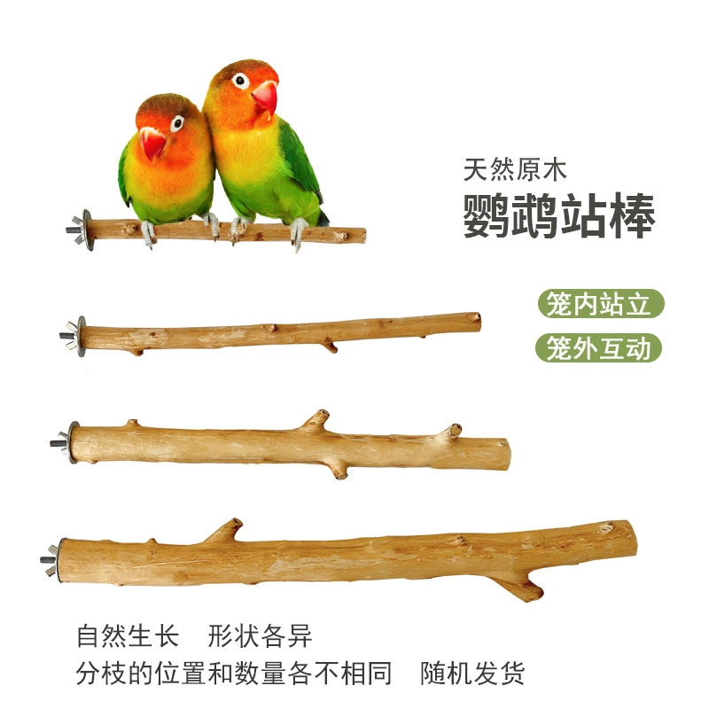 Натуральное бревно, большая, средняя и маленькая подставка для попугаев, пилинг, ветка, Грызущая шлифовальная клетка для клюв, внешняя Интерактивная тренировочная стойка
