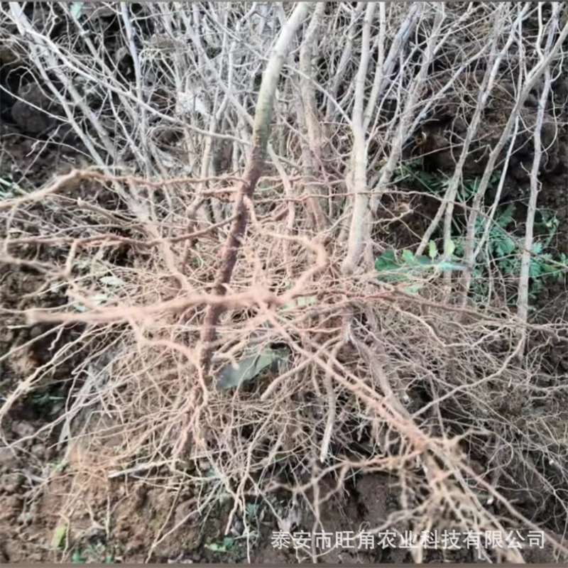 75e14b5fb83d466c90d874960928ef