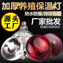 猪用保温灯养殖取暖灯小鸡烤灯保温灯泡 仔猪取暖灯泡猪场养殖