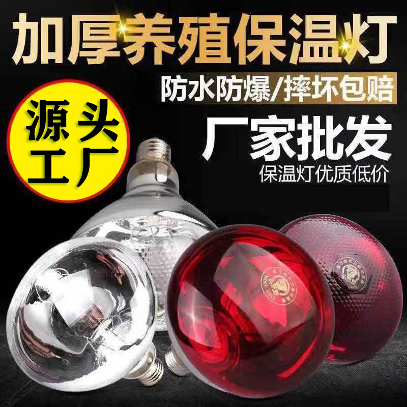 猪用保温灯养殖取暖灯小鸡烤灯保温灯泡 仔猪取暖灯泡猪场养殖