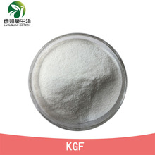 KGF KGF纯粉 重组人角质细胞生长因子 化妆品原料 现货 绿如泉