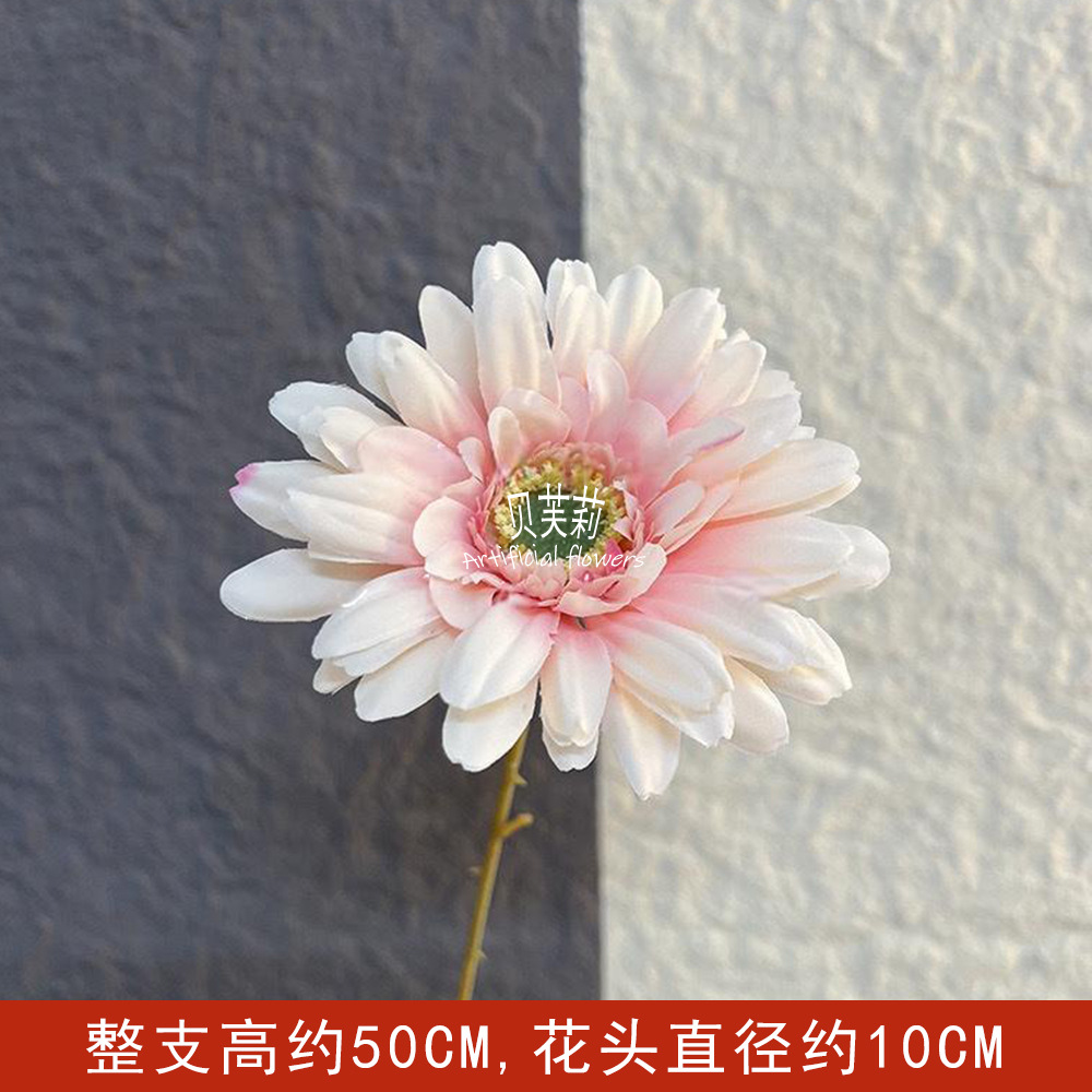 거베라 - 라이트 핑크