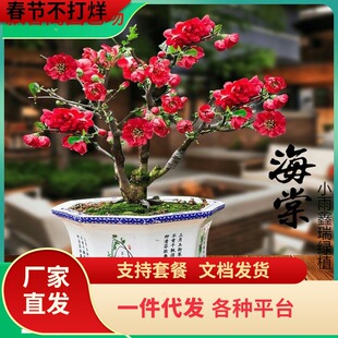 һ�����l�ذ��L�۹ں��Ļ����辰�҃����^���ļ����ܺ�������ֲ��