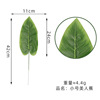 Cross -border simulation single -piece leaf wholesale beauty banana watermelon leaf spring rain leaf plant wall wedding flower arrangement decorative leaves